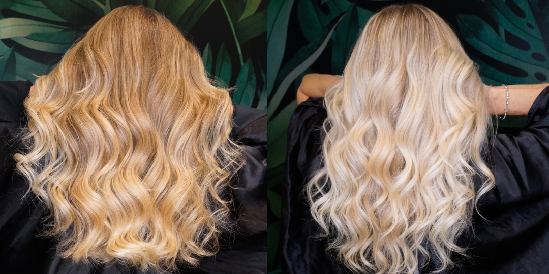 The Blonding Survival Guide